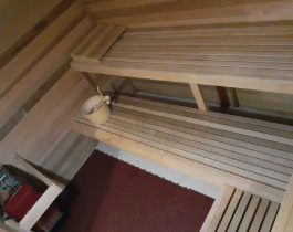 Saunas